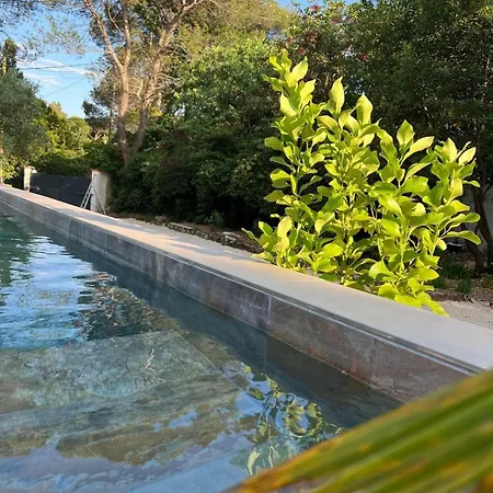 Design Architect's House ニーム